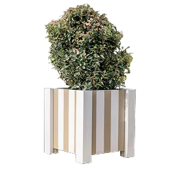 Planters 
